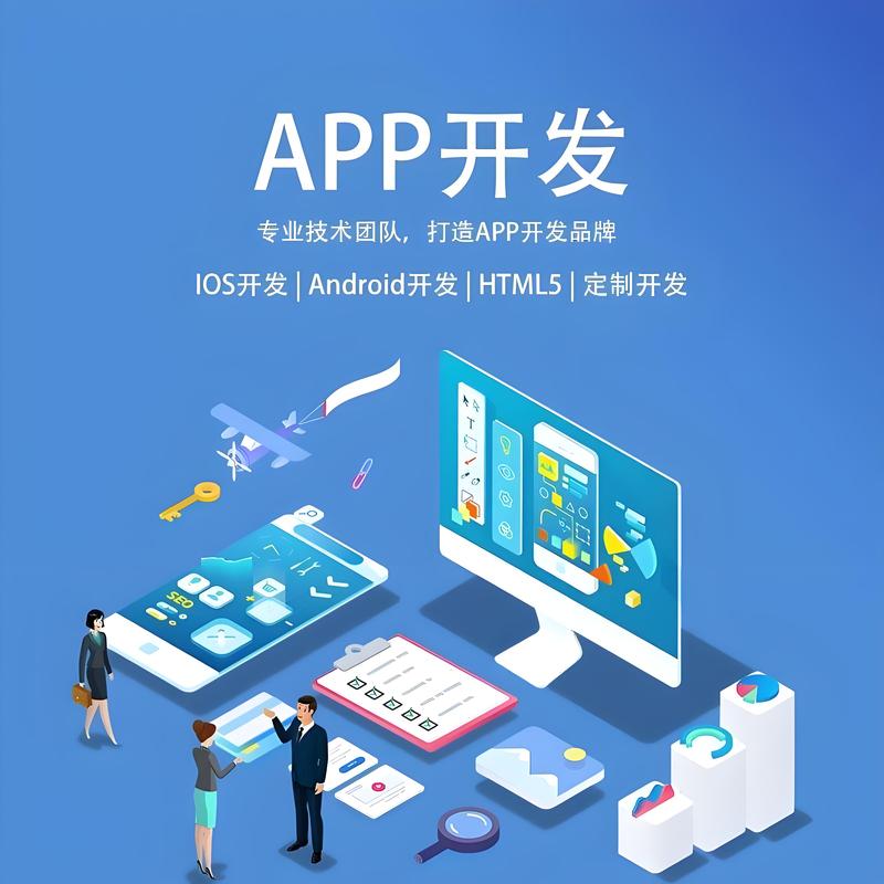 APP开发